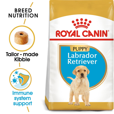 Labrador Retriever Large Puppy Dry Dog Food