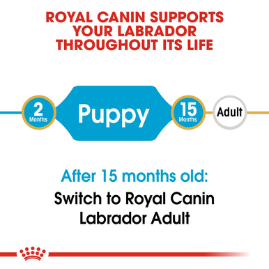 Royal Canin Labrador Retriever Large Puppy Dry Dog Food