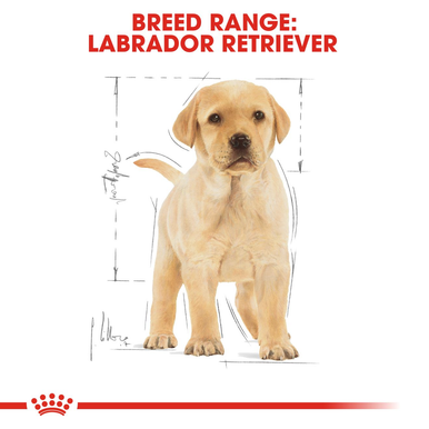 Royal Canin Labrador Retriever Large Puppy Dry Dog Food