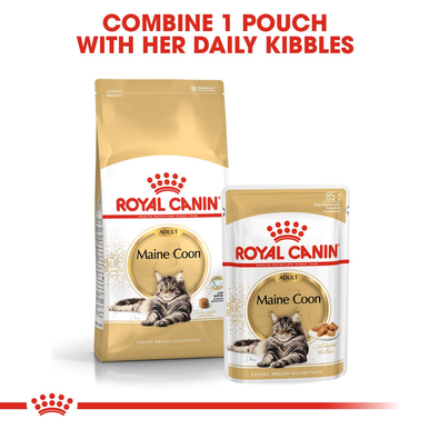 Royal Canin Maine Coon Adult Dry Cat Food