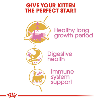 Royal Canin Kitten Maine Coon Dry Cat Food