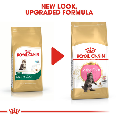 Royal Canin Kitten Maine Coon Dry Cat Food