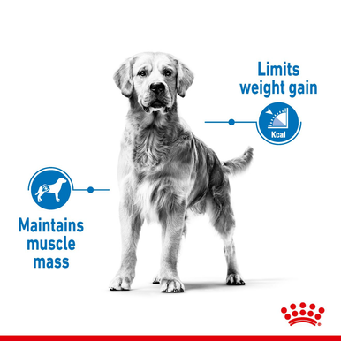 Royal Canin Maxi Light Weight Care Adult Dry Dog Food