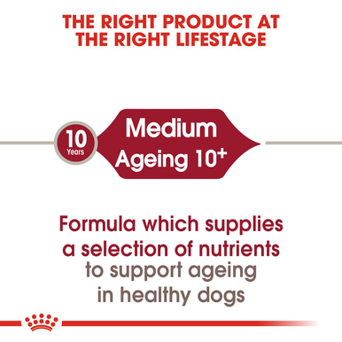 Royal Canin Medium Senior Ageing 10+ Dry Dog Food