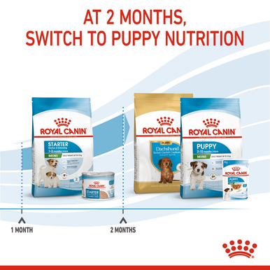 Royal Canin Mini Starter Mother & Babydog Adult/Puppy Dry Dog Food