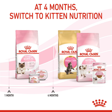 Royal Canin Mother & Babycat Adult/Kitten Dry Cat Food