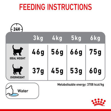 Royal Canin Dental Care Adult Dry Cat Food