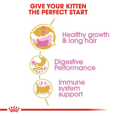 Royal Canin Persian Kitten Dry Cat Food