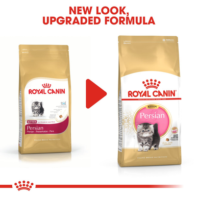 Royal Canin Persian Kitten Dry Cat Food