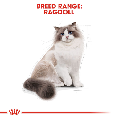 Royal Canin Ragdoll Adult Dry Cat Food