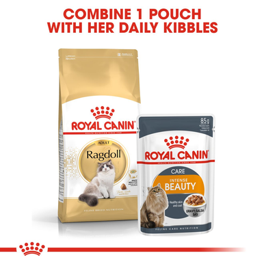 Royal Canin Ragdoll Adult Dry Cat Food