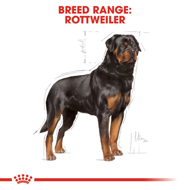 Royal Canin Rottweiler Adult Dry Dog Food