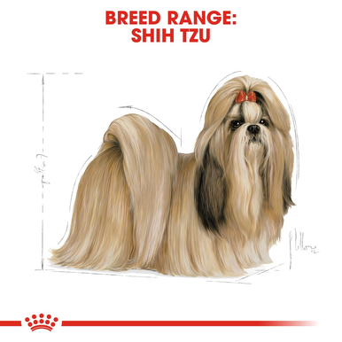 Royal Canin Shih Tzu Adult Dry Dog Food