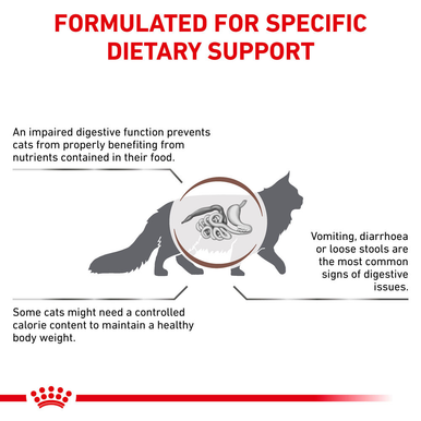 Royal Canin Veterinary Diet Gastrointestinal Moderate Calorie Adult Dry Cat Food