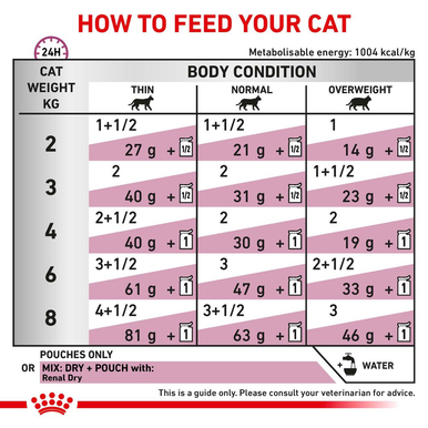 Royal Canin Veterinary Diet Renal Adult Wet Cat Food - Beef