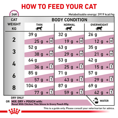 Royal Canin Veterinary Diet Renal Special Adult Dry Cat Food