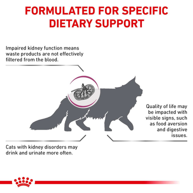 Royal Canin Veterinary Diet Renal Special Adult Dry Cat Food