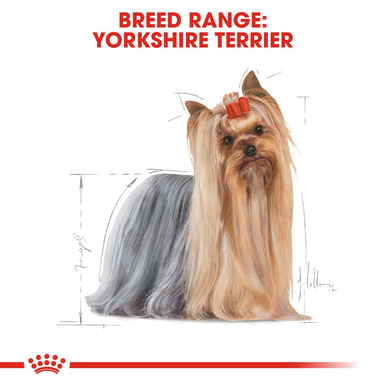 Royal Canin Yorkshire Terrier Adult Dry Dog Food