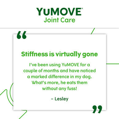 YuMOVE Dog Joint Supplement with ActivEase