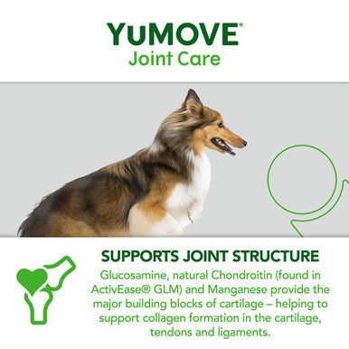 YuMOVE Dog Joint Supplement with ActivEase