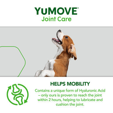 YuMOVE Dog Joint Supplement with ActivEase