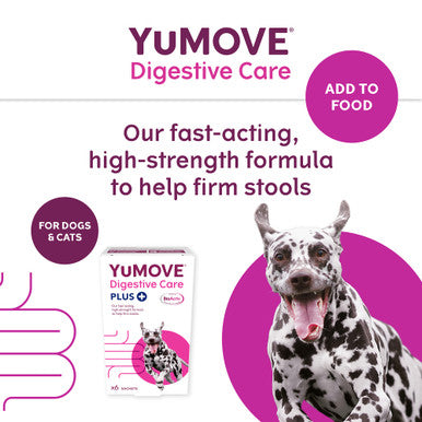 YuMOVE Digestive Care Plus Dog Supplement