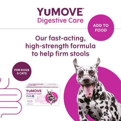 YuMOVE Digestive Care Plus Dog Supplement