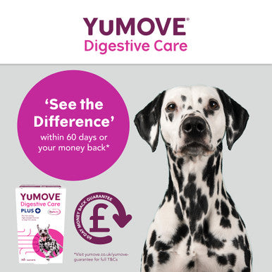 YuMOVE Digestive Care Plus Dog - Main Image