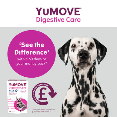 YuMOVE Digestive Care Plus Dog Supplement