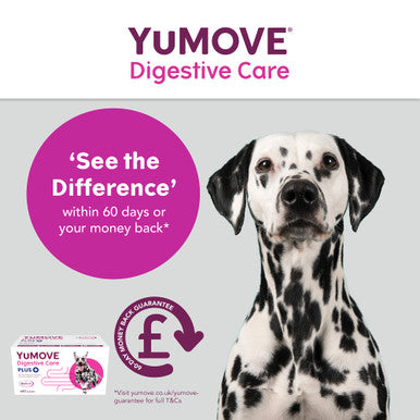 YuMOVE Digestive Care Plus Dog Supplement