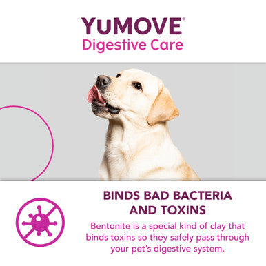 YuMOVE Digestive Care Plus Dog Supplement