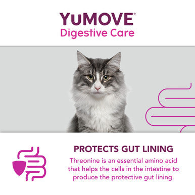 YuMOVE Digestive Care Plus Dog Supplement