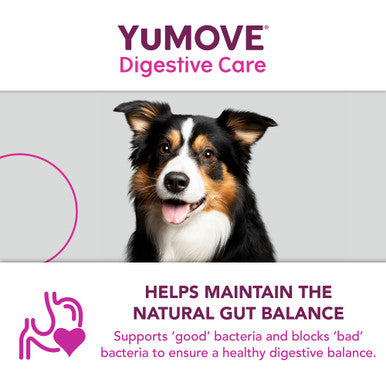 YuMOVE Digestive Care Plus Dog Supplement