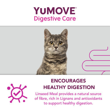 YuMOVE Digestive Care Plus Dog Supplement