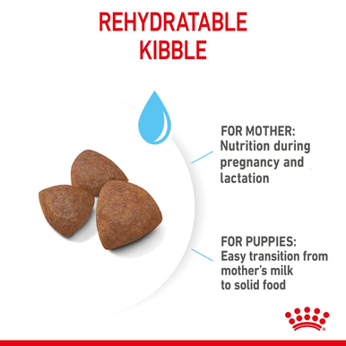 Royal Canin Medium Starter Mother & Babydog Adult/Puppy Dry Dog Food