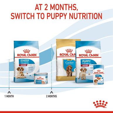 Royal Canin Medium Starter Mother & Babydog Adult/Puppy Dry Dog Food