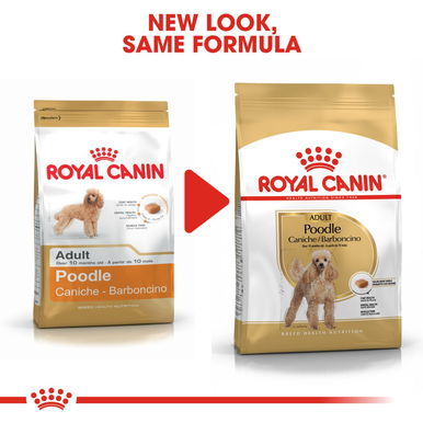 Royal Canin Poodle Adult Dry Dog Food