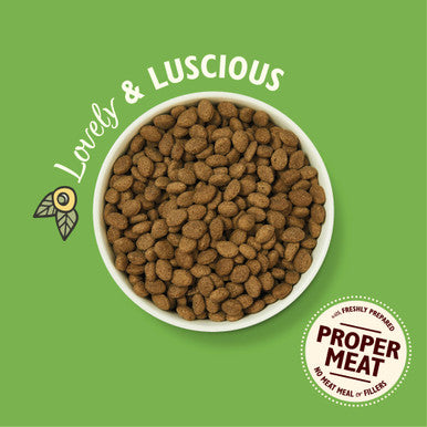 Lily's Kitchen Shepherds Pie Grain-free Adult Dry Dog Food - Lamb, Potatoes & Parsley