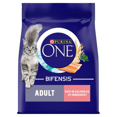 Purina ONE Adult Dry Cat Food - Salmon & Whole Grains