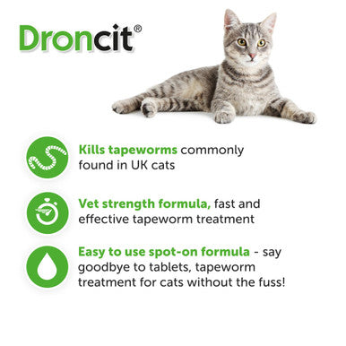 Droncit Spot On for Cats