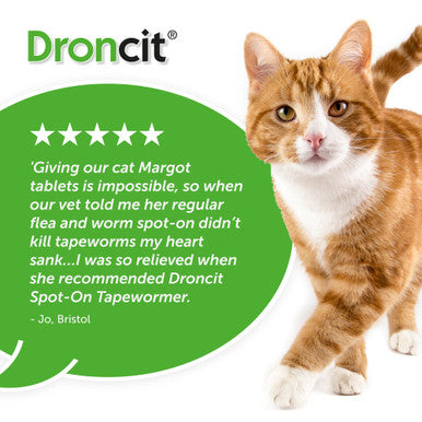 Droncit Spot On for Cats