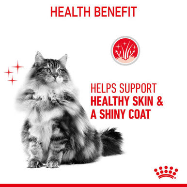 Royal Canin Intense Hair & Skin Adult Wet Cat Food