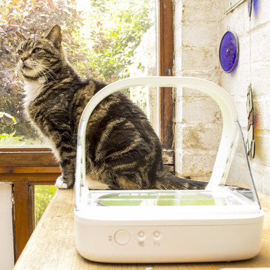 SureFlap SureFeed Microchip Pet Feeder Bowl