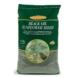 Johnston & Jeff Black Oil Sunflower Seed