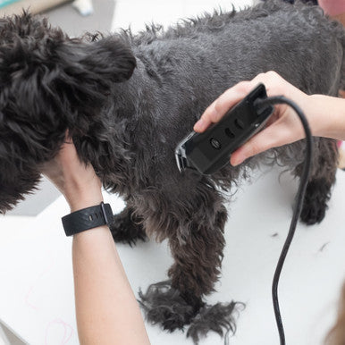 Wahl Multi Cut Mains Pet Clipper