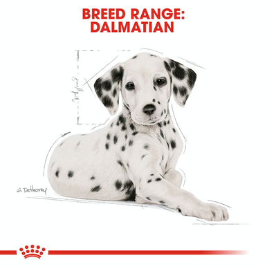 Royal Canin Dalmatian Puppy Dry Dog Food