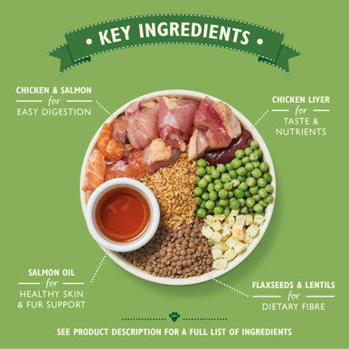 Lily's Kitchen Grain Free with Puppy Recipe Dry Dog Food - Chicken & Salmon