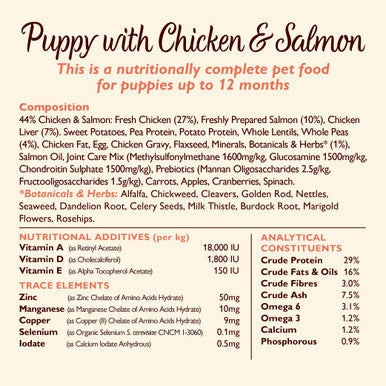 Lily's Kitchen Grain Free with Puppy Recipe Dry Dog Food - Chicken & Salmon