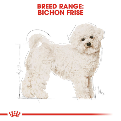 Royal Canin Bichon Frise Adult Dry Dog Food