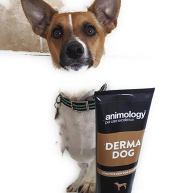 Animology Derma Sensitive Skin Dog Shampoo